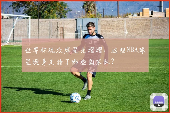 世界杯观众席星光熠熠，这些NBA球星现身支持了哪些国家队？
